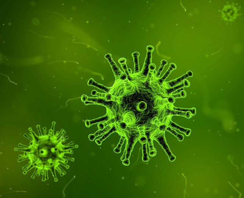 Les virus, oubliés du microbiote